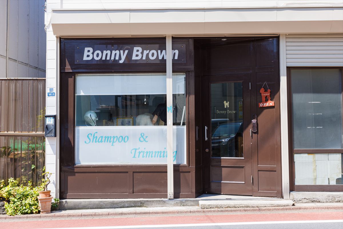 Bonny Brown
